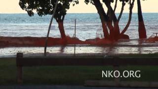 preview picture of video 'March 11, 2011 Tsunami Aftermath  Hawaii, Kihei, Kulanihakoi Gulch'