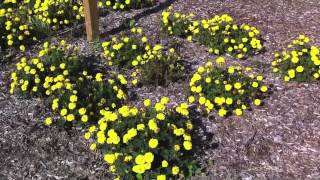 Wellston's outdoor classroom is a success