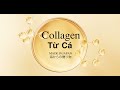 2024 COLLAGEN AD
