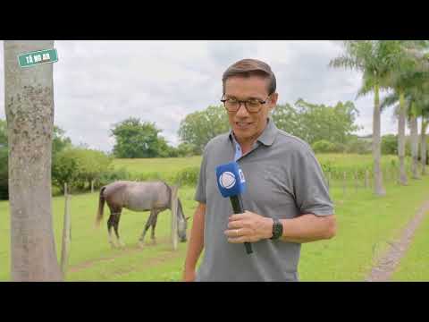 Tá no Ar Interior  - Porangaba