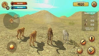 Wild Cheetah Sim 3D Android Gameplay #5