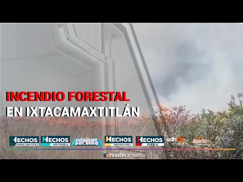 Incendio forestal en Ixtacamaxtitlán