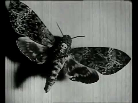 The Abominable Mr Tinkler - 1st Cut/Un Chien Andalou (full)