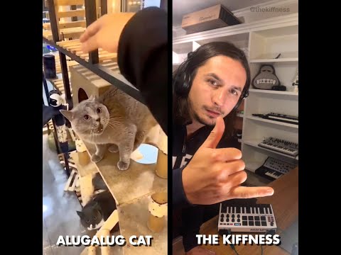 Alugalug Cat X The Kiffness (Soulful Singing Cat Live Looping Remix)