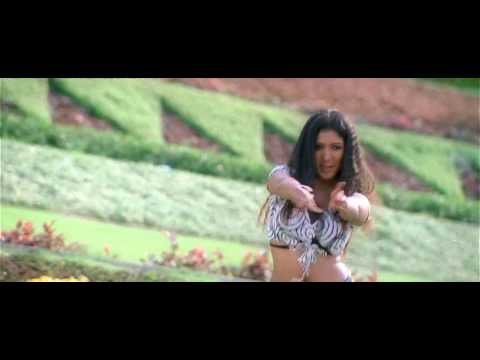 Parasuram (2003) Chittu Kuruvi Video Song 720p