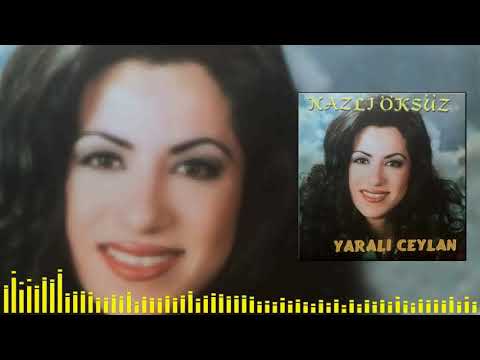 Video Yükleniyor...