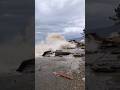 Storm Of The CENTURY Black Sea Shorts Nature
