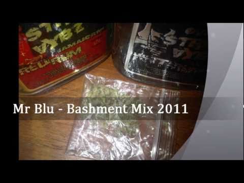 Dancehall / Bashment Mix MAWWDD!! 2011 ( Mr Blu )