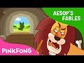 The Old Lion and the Fox | Aesop's Fables | Pinkfong Story Time for Children The Old Lion and the Fox | Aesop's Fables | Pinkfong Story Time for Children