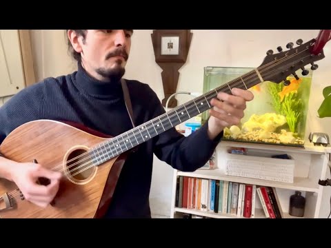 Irish Bouzouki Lesson - Sí Bheag, Sí Mhór Part 1