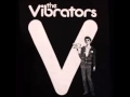 The Vibrators - I Kissed A Girl 