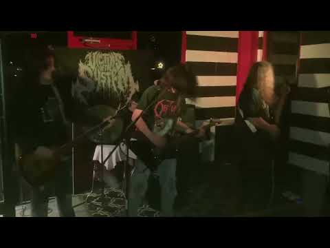 VICTIMS OF THE SYSTEM LIVE AT INSANITY SKATEPARK 1/22/23 HOME VIDEOS