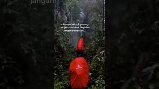 Download lagu suara misterius di gunung , suara apa yaa kira kira #misteri #gunung #hutan #hororkomedi #shorts mp3