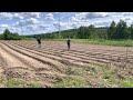 Future Generation Farmers Planting Squash