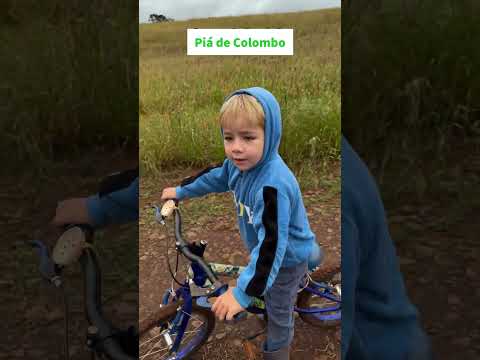 Piázinho de Colombo Paraná