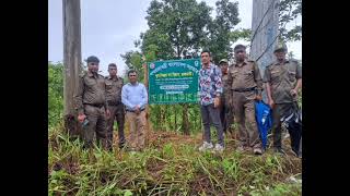 2019 20 Plantation at Hazachori Range