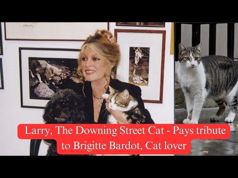 Larry, The Downing Street Cat - Pays tribute to Brigitte Bardot, Cat lover