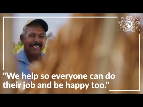 Meet The People Of PMI: A Day In The Life Of A Tobacco Farmer
