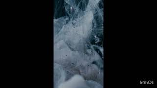 Acid Trip Visuals | Relaxing Neon Fractals 4K #satisfyingvideo #psychedelic #psychedelictrip #asmr 