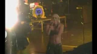 No Doubt Different People (Rock Steady Live)