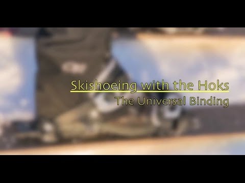 The Hoks with Universal Binding