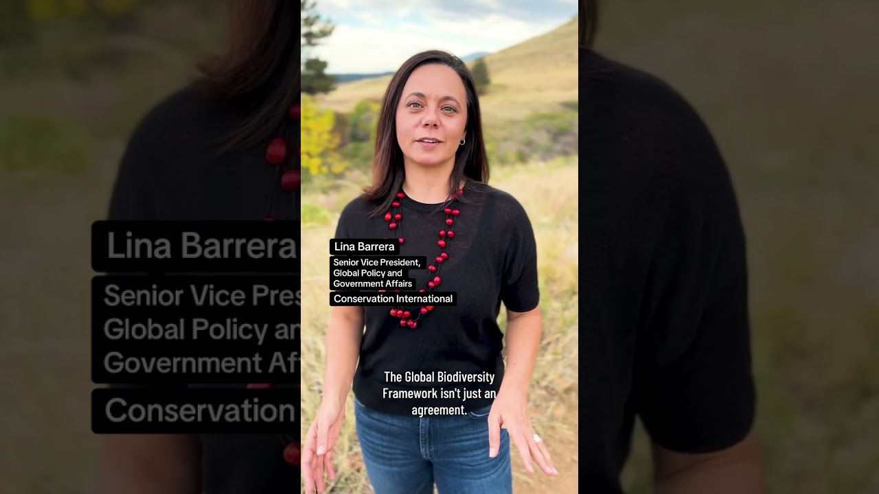 What is the Global Biodiversity Framework?