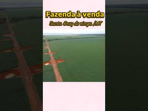 Fazenda à venda em Santa Cruz do xingu Mt