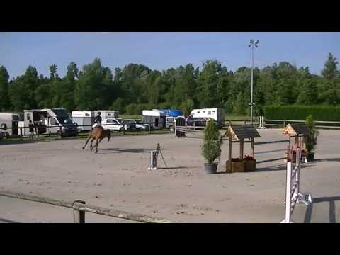 8yo Diamant de Semilly