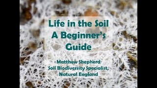 Download lagu A fascinating introduction to life below ground, Dr Matthew Shepherd, Natural England mp3