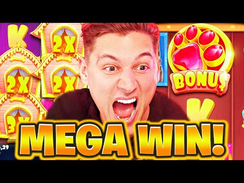MEGA WIN in DOG HOUSE! 🤑 (Endlich Freispiele!)