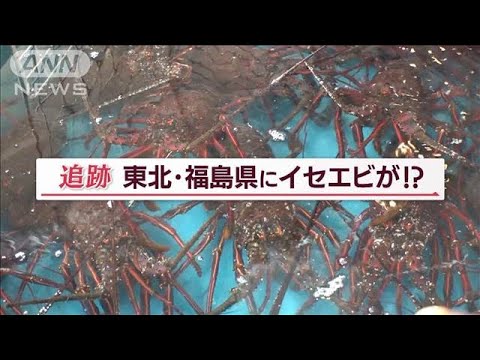 Gisors-Embranchement 駅 - 定義