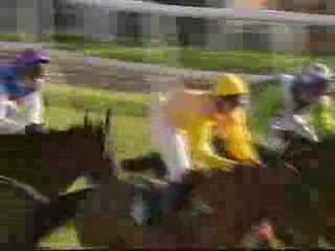 Singer & Friedlander National Trial 1997/1998 - Uttoxeter