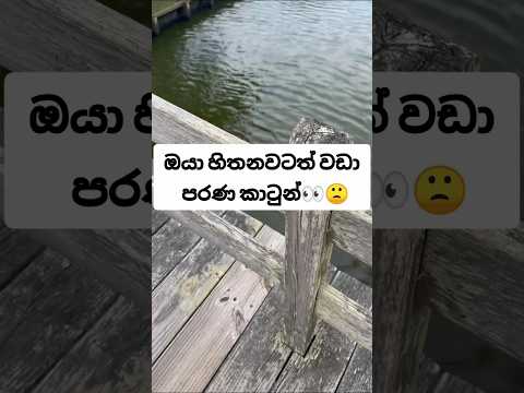 මේ කාටුන් මේ තරම් පරණයි කියලා දැනගෙන හිටියද?🥺🙁||#trending #amazing #facts #shorts #viral #top5