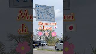 Download lagu Musim Semi di Jepang 🇯🇵‼️ Kayak masuk Dunia peri 🌸🌷🌺 #japan #spring #tulip mp3 Download lagu Musim Semi di Jepang 🇯🇵‼️ Kayak masuk Dunia peri 🌸🌷🌺 #japan #spring #tulip mp3