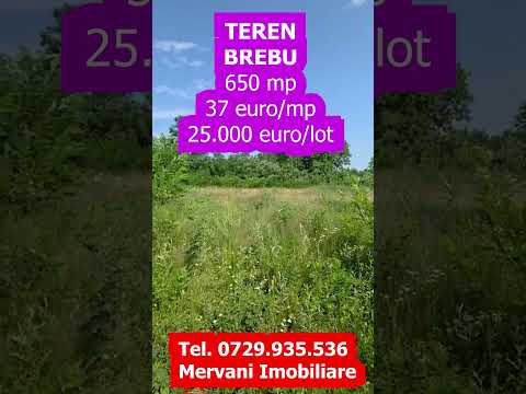 650 mp de liniste, natura si aer curat in Brebu, Prahova — Video