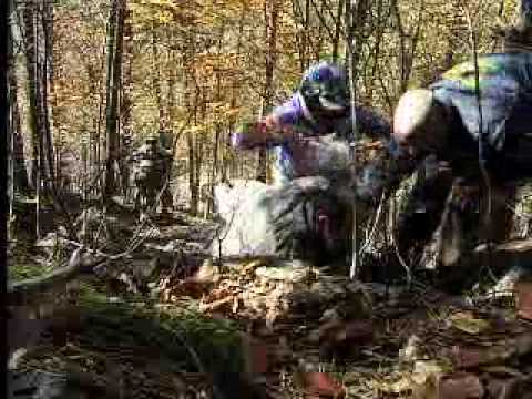 RedBull roManaics 2004