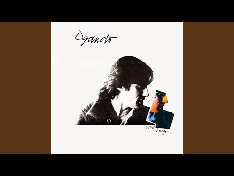 Nunca Dejes de Soñar