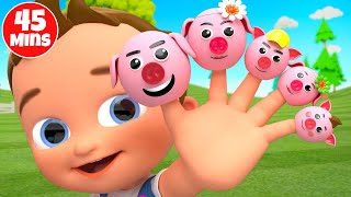 Pig Finger Family Song Baby Nursery Rhymes colorful cars colors for kids  45 mins collection video