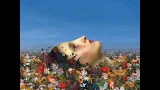 The Pineapple Thief - "Seasons Past"