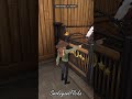 How I Wake Up My Horses In SSO Starstable
