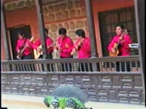 LLAJUAS SOY (L. Y  M. GRUPO LLAJUAS)