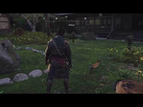 Assassin's Creed Shadows - Hideout: Adding Pets