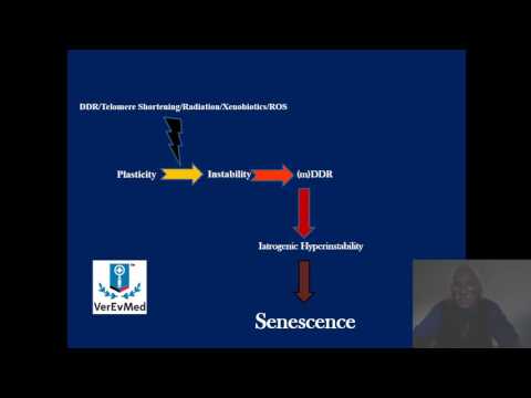VerEvMed Lecture: DNA Damage Repairs on the Aging Genome. Dr. Dan Guerra