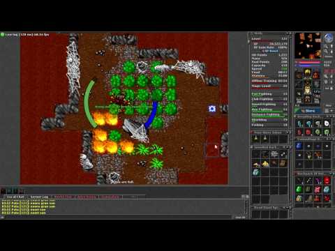 [Tibia]~ Paladin 121 Killing The Old Widow.