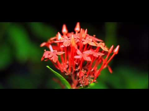 2DOTS FT SAMALE - MAUMIVU YA MOYO (Official Video)