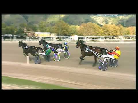 Trotto 18/10/2020 - 5ª corsa