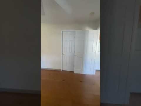 Palmetto Court - Video 2 of 2