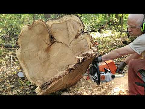 Stihl MS461 (MMWS ported) 36" bar vs . red oak