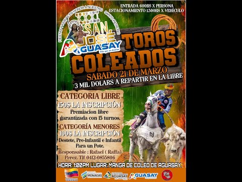 Toros Coleados Agusay 2026