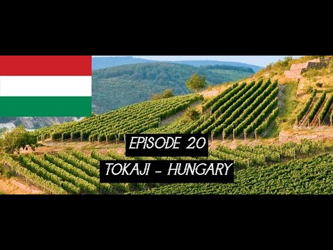 Episode XX - Tokaji - Hungary | WSET Level III Award in Wine Review